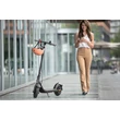 Bérlés - Segway Ninebot F30E - elektromos roller - 36V - 300W - 10,2Ah